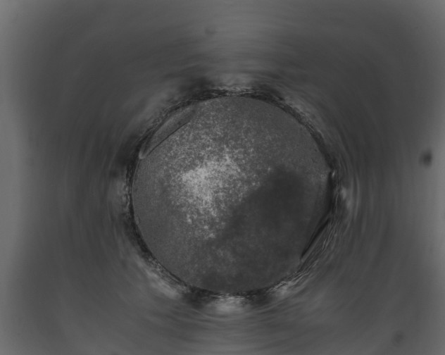 X0000089920609200707061020
