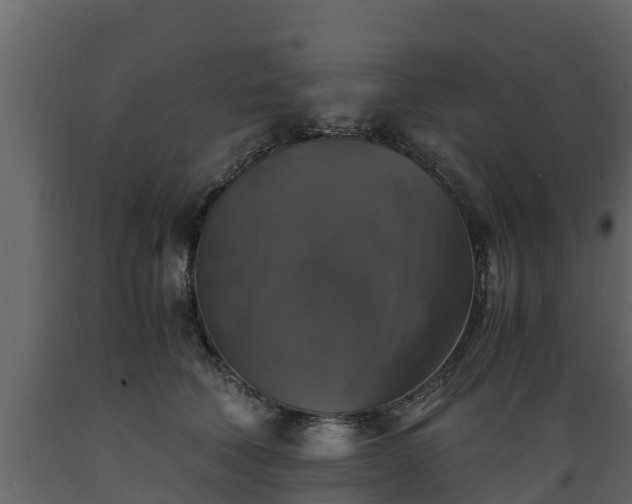 X0000089920610200707061020