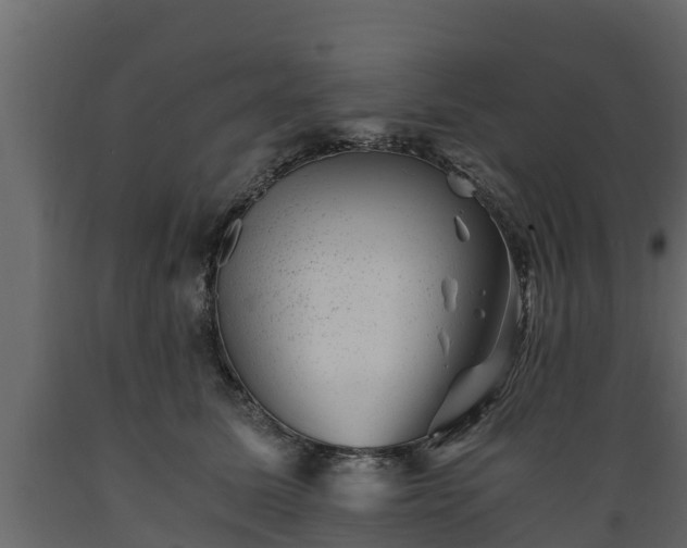 X0000089920611200707061020