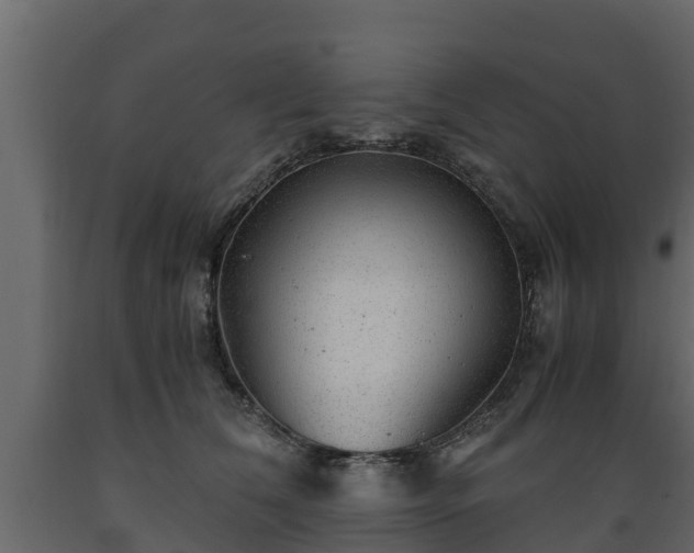 X0000089920612200707061020