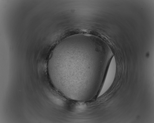X0000089920613200707061020