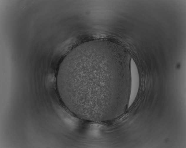 X0000089920614200707061020
