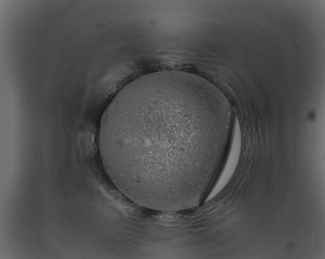 X0000089920615200707061020