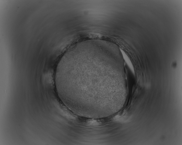 X0000089920616200707061020