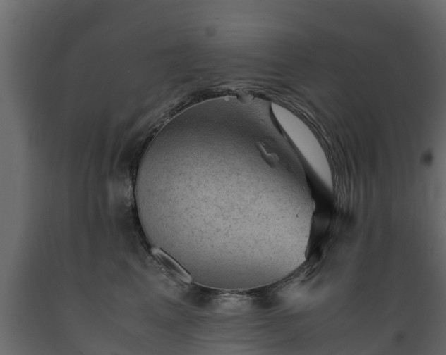 X0000089920617200707061020