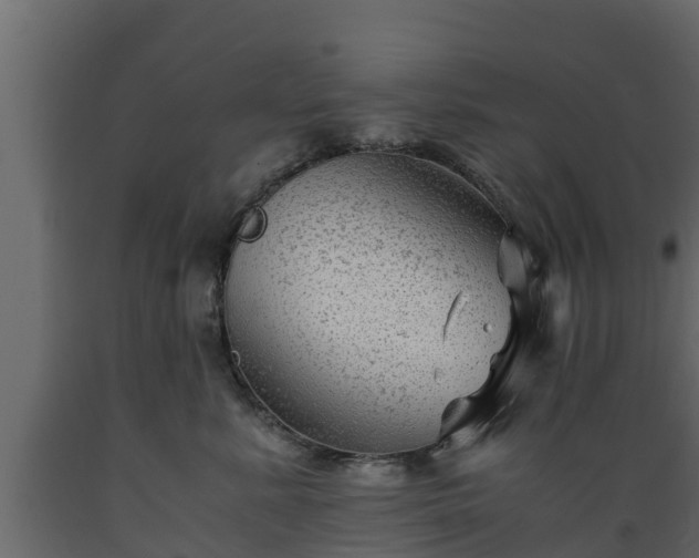 X0000089920619200707061020