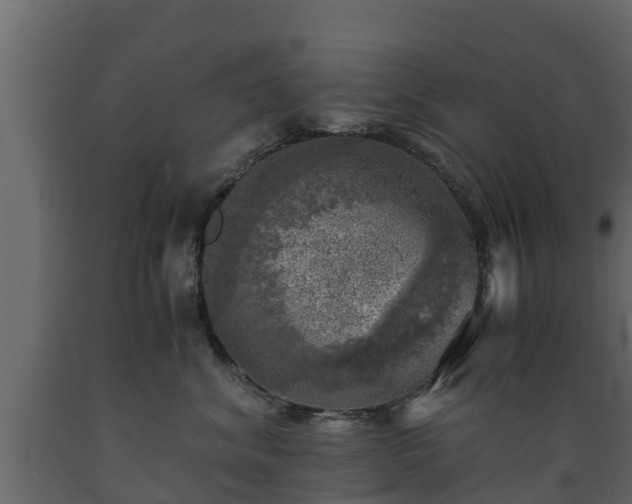X0000089920620200707061020