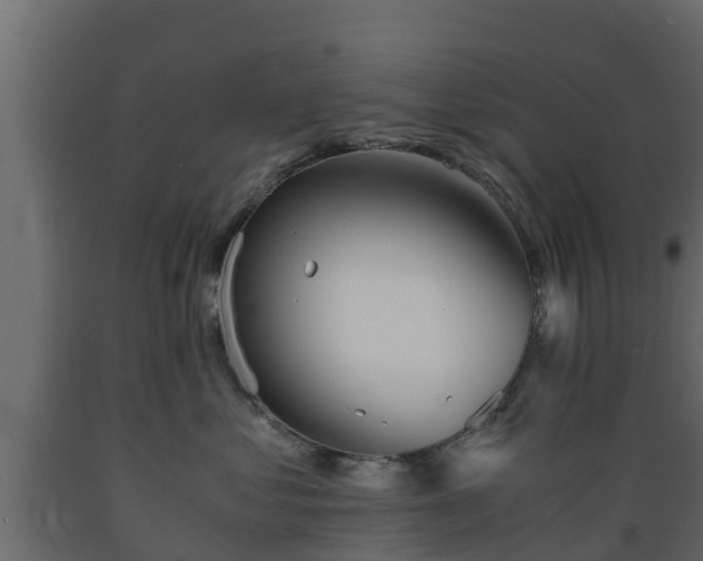 X0000089920621200707061020