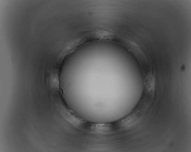 X0000089920622200707061020