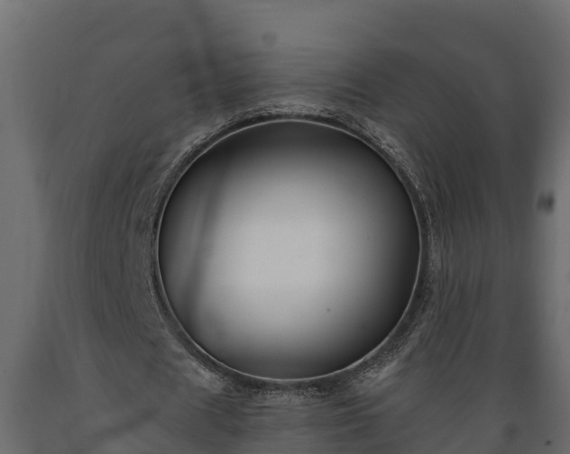 X0000089920625200707061020