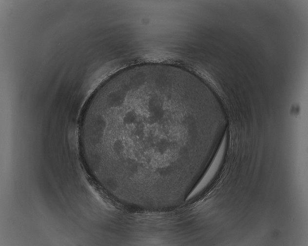 X0000089920626200707061020