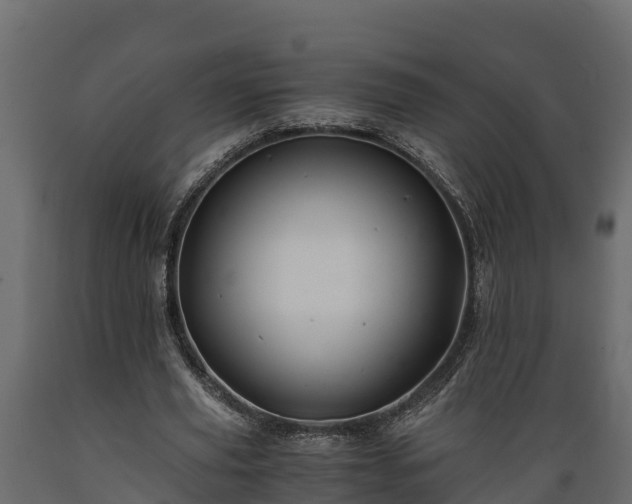 X0000089920629200707061020