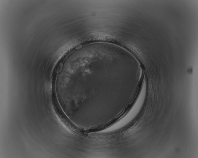 X0000089920630200707061020