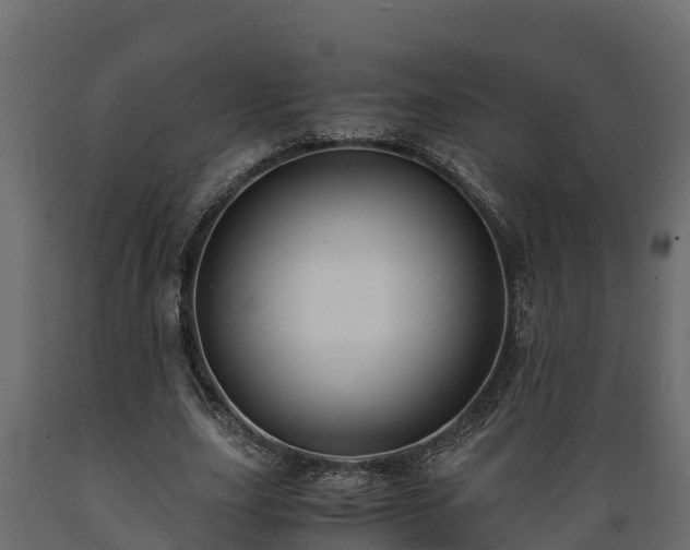 X0000089920631200707061020