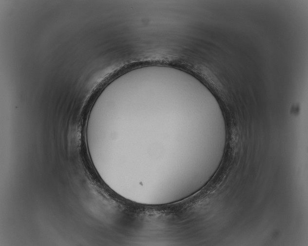X0000089920632200707061020