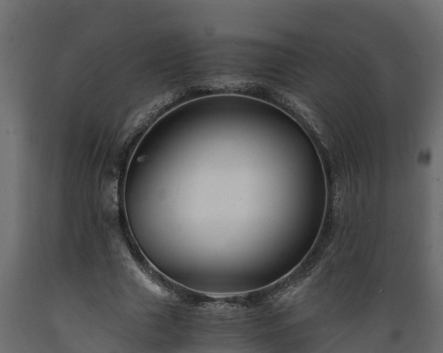 X0000089920633200707061020