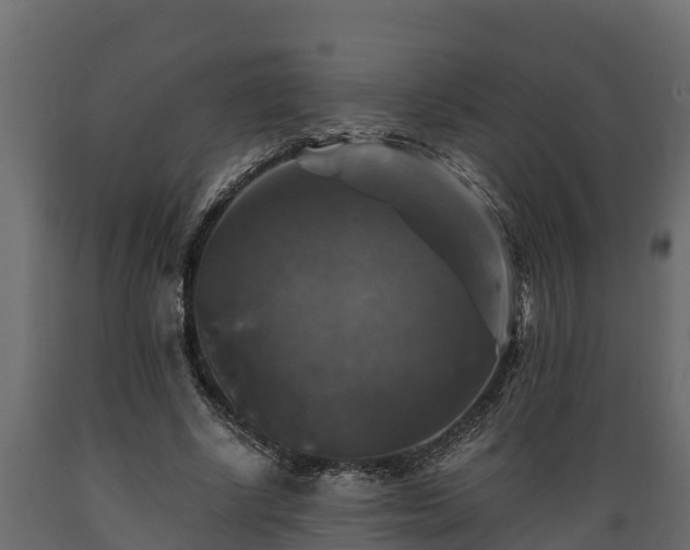 X0000089920634200707061020