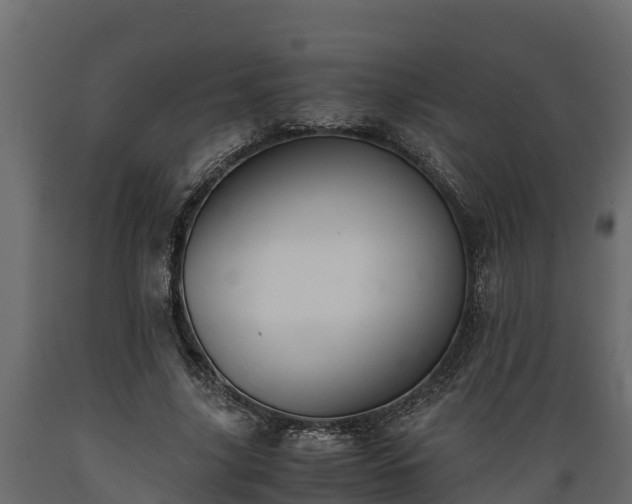 X0000089920635200707061020