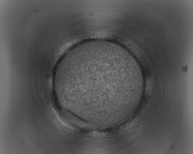 X0000089920636200707061020