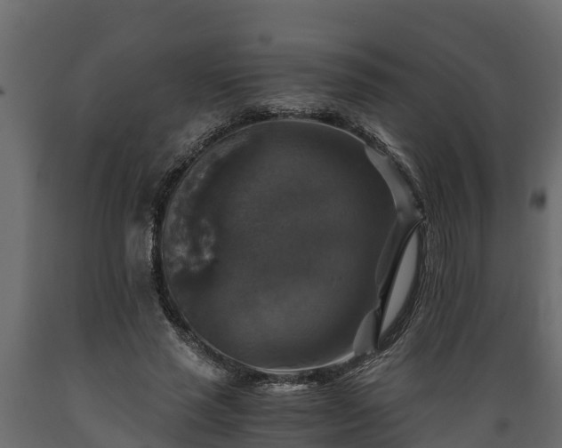 X0000089920637200707061020