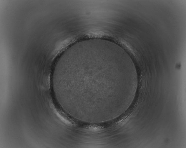 X0000089920638200707061020