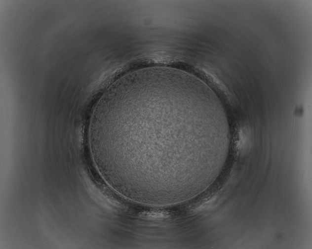 X0000089920639200707061020
