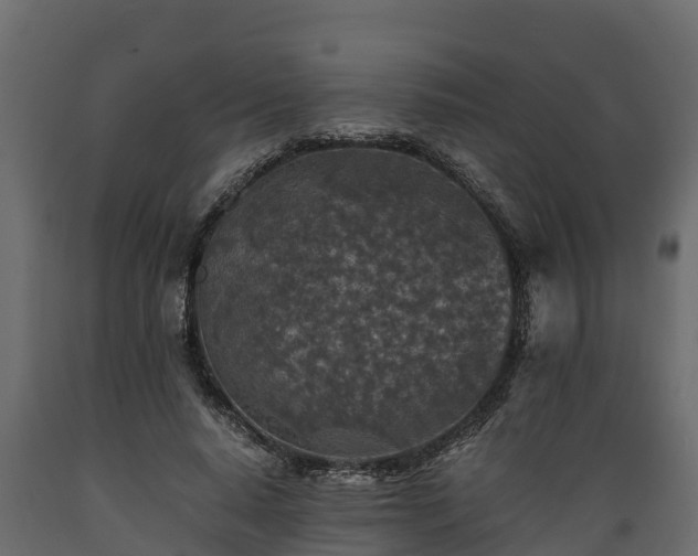 X0000089920640200707061020