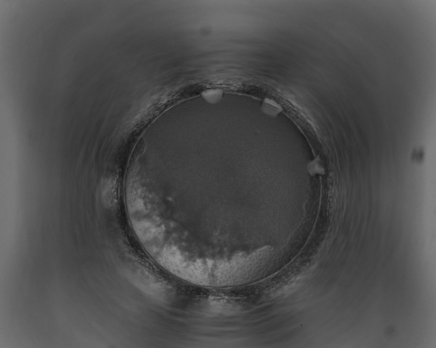 X0000089920641200707061020