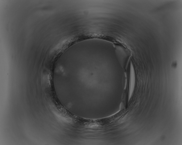 X0000089920643200707061020