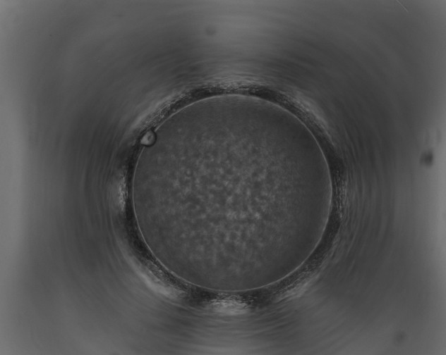 X0000089920644200707061020
