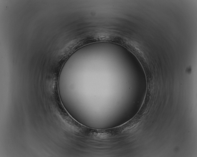 X0000089920645200707061020