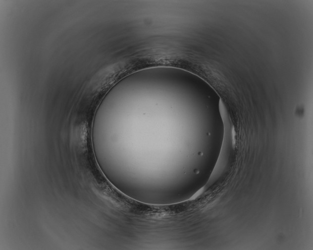 X0000089920646200707061020