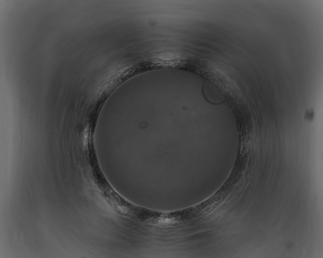 X0000089920647200707061020
