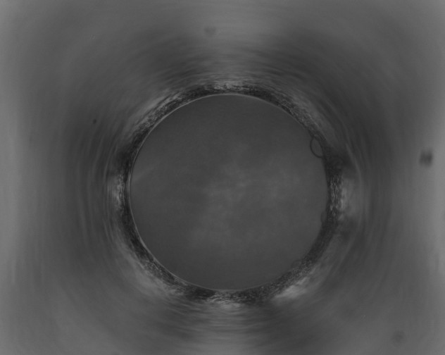 X0000089920648200707061020