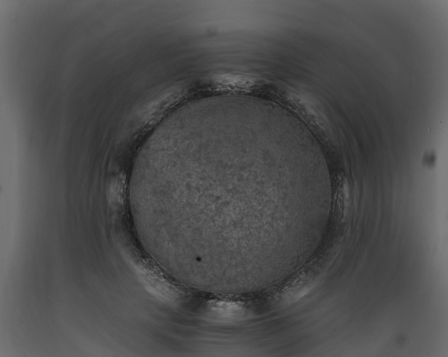 X0000089920649200707061020