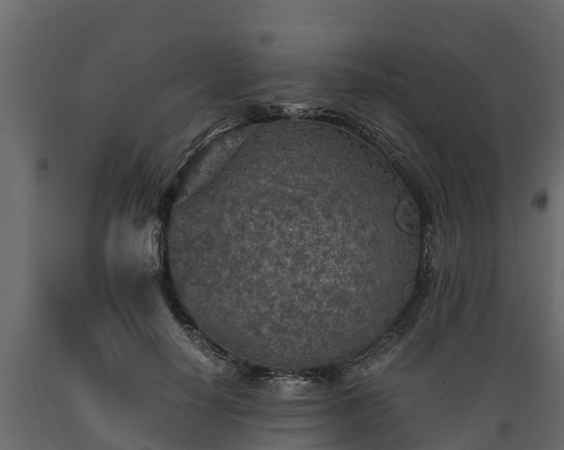 X0000089920650200707061020
