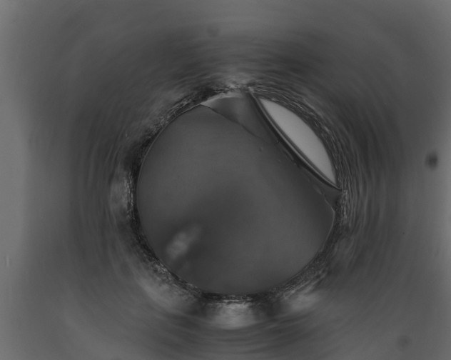 X0000089920651200707061020