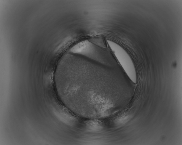X0000089920652200707061020