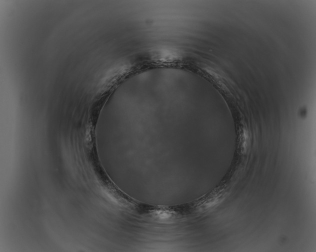 X0000089920654200707061020