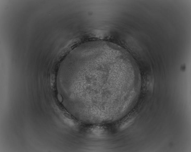 X0000089920656200707061020