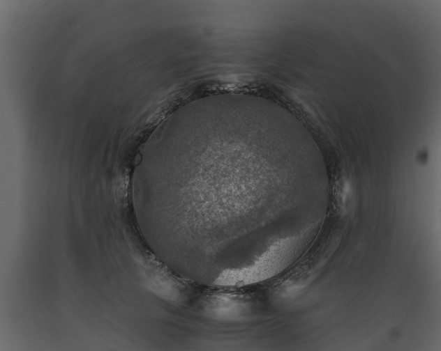 X0000089920657200707061020