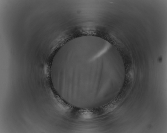 X0000089920658200707061020