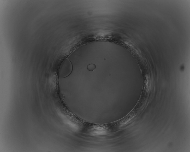 X0000089920659200707061020