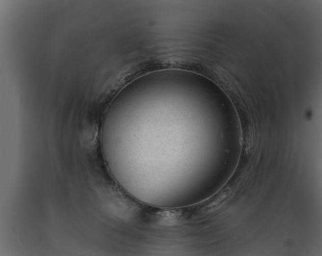 X0000089920660200707061020