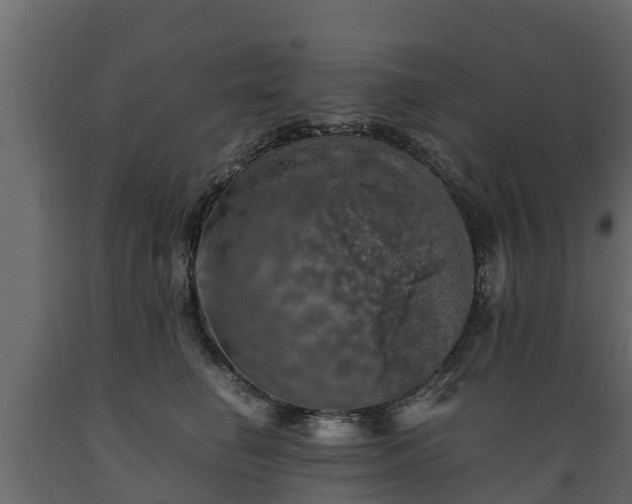 X0000089920662200707061020