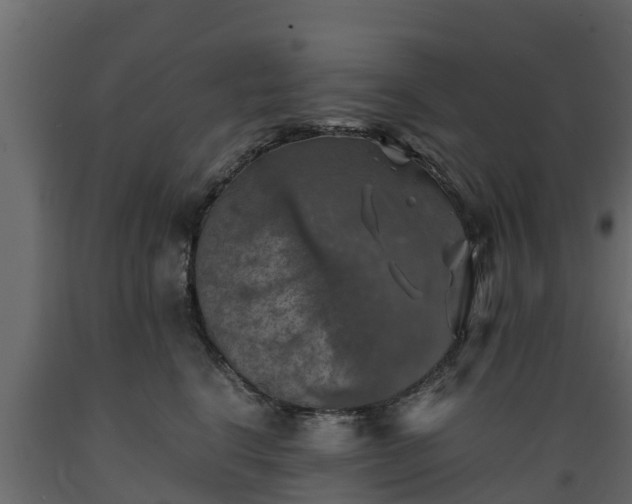 X0000089920664200707061020