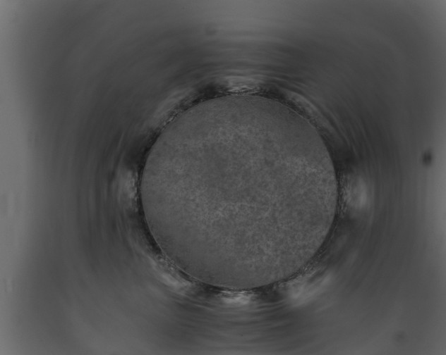 X0000089920667200707061020