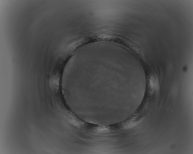 X0000089920668200707061020