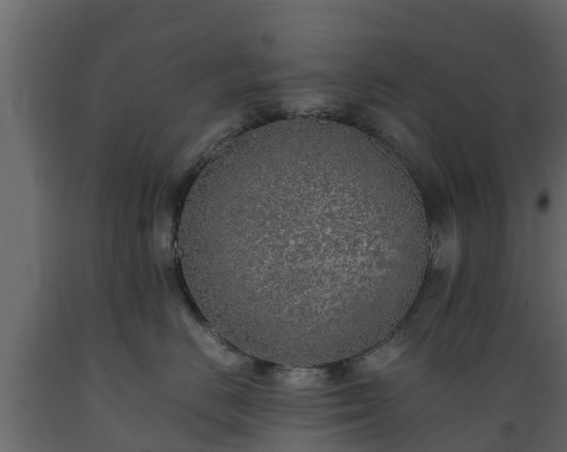 X0000089920670200707061020