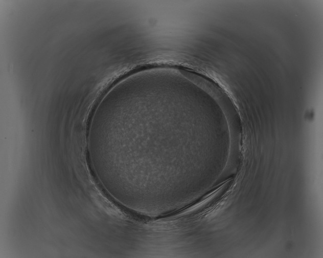 X0000089920673200707061020